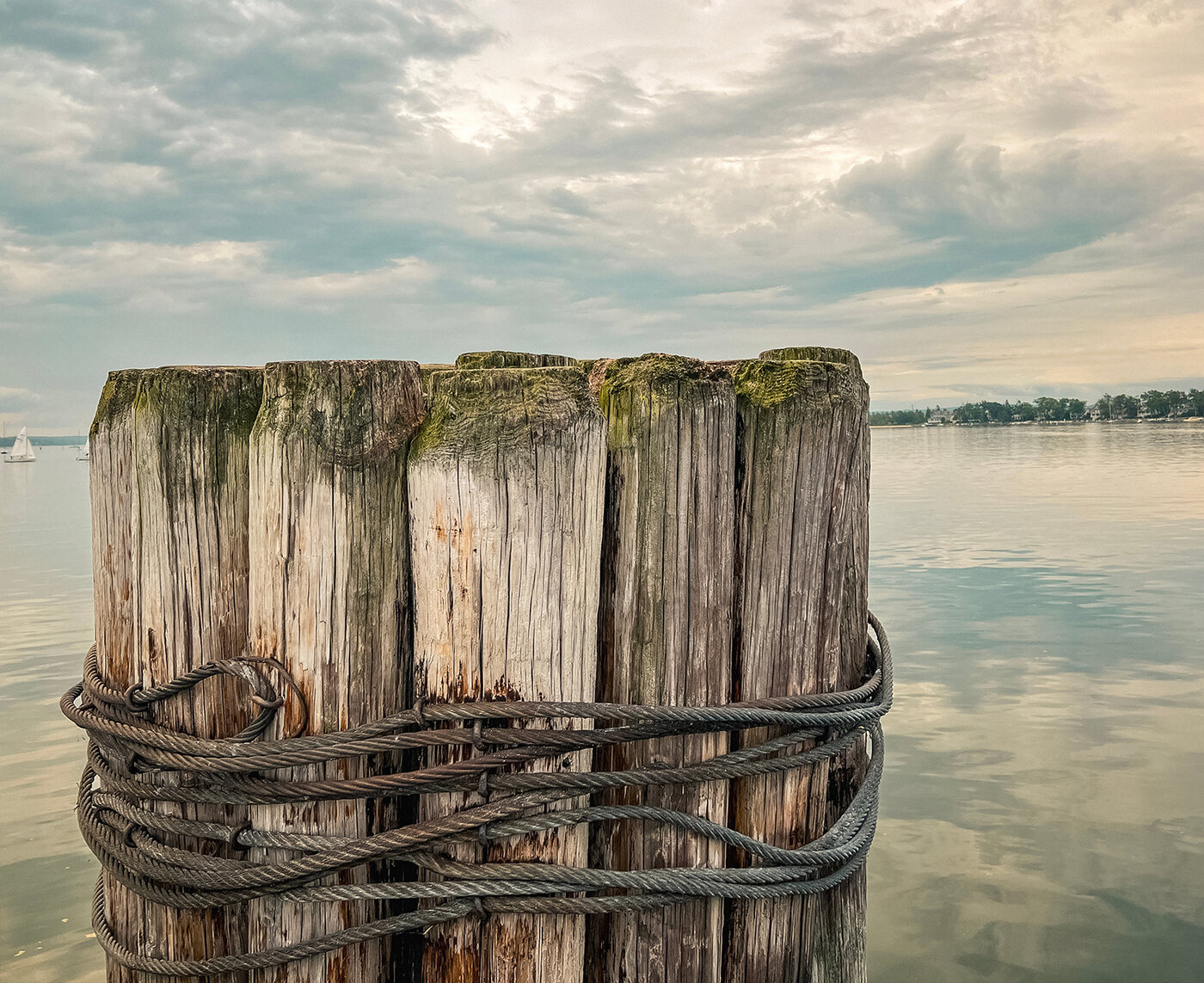 Quiet shoreline