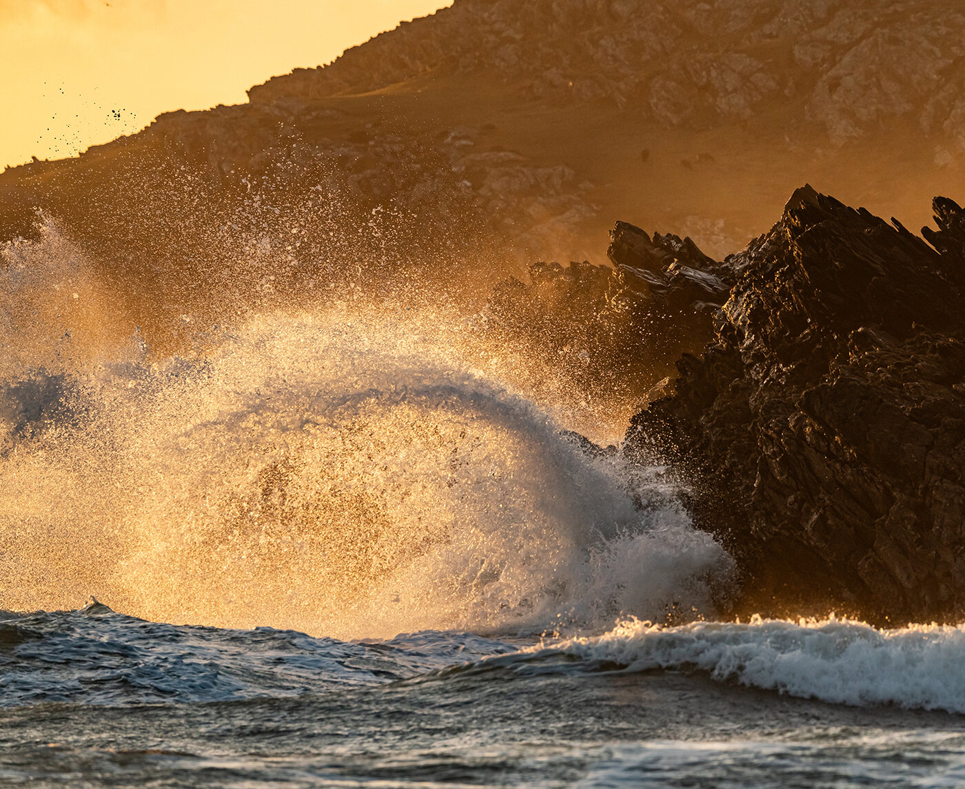 Pacific Northwest coastline